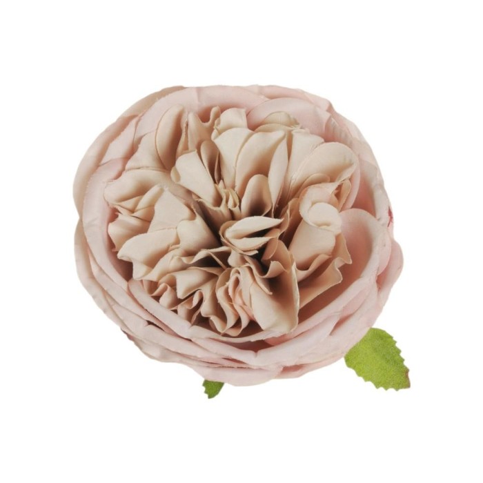 PICK ROSA AUSTIN D10 H5 PINK ECRU